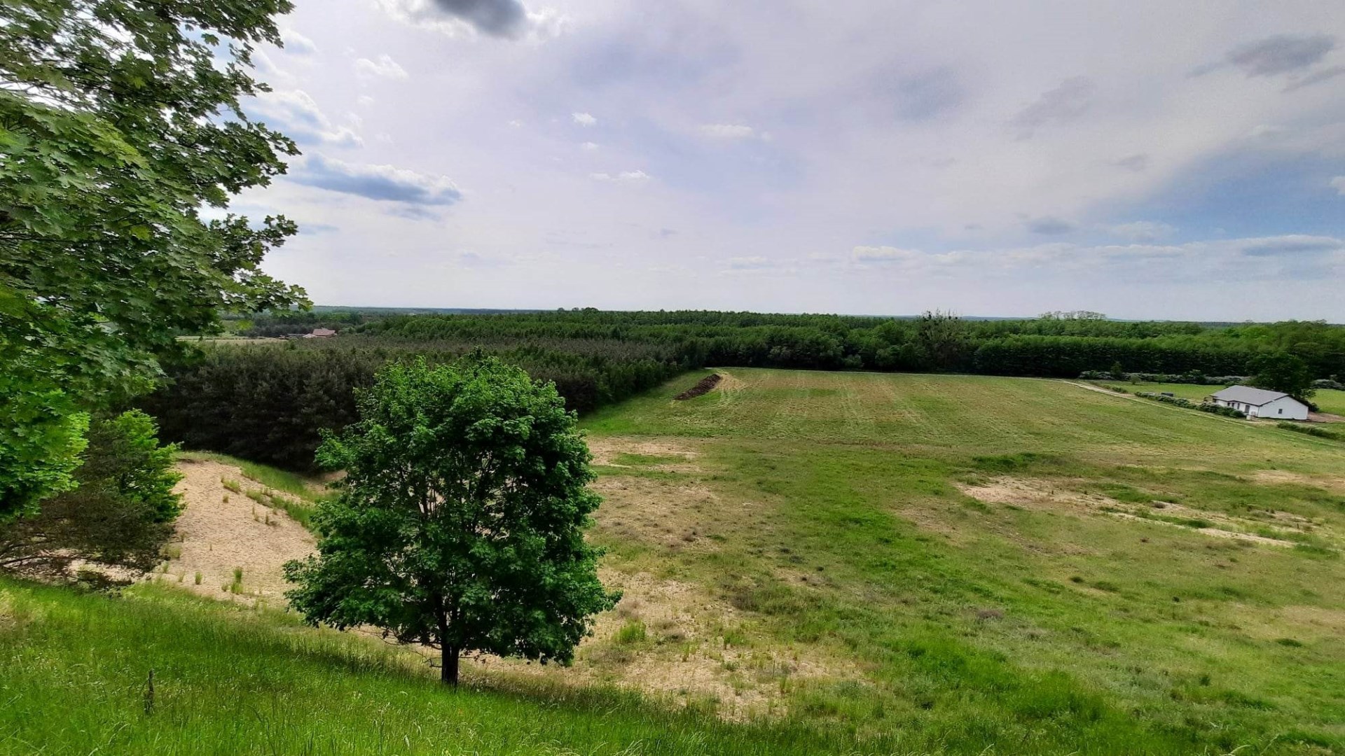 Działka na sprzedaż