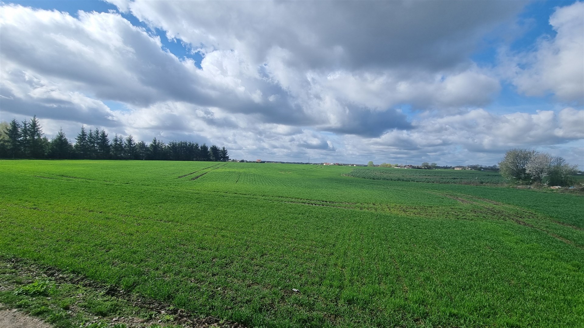 Działka na sprzedaż