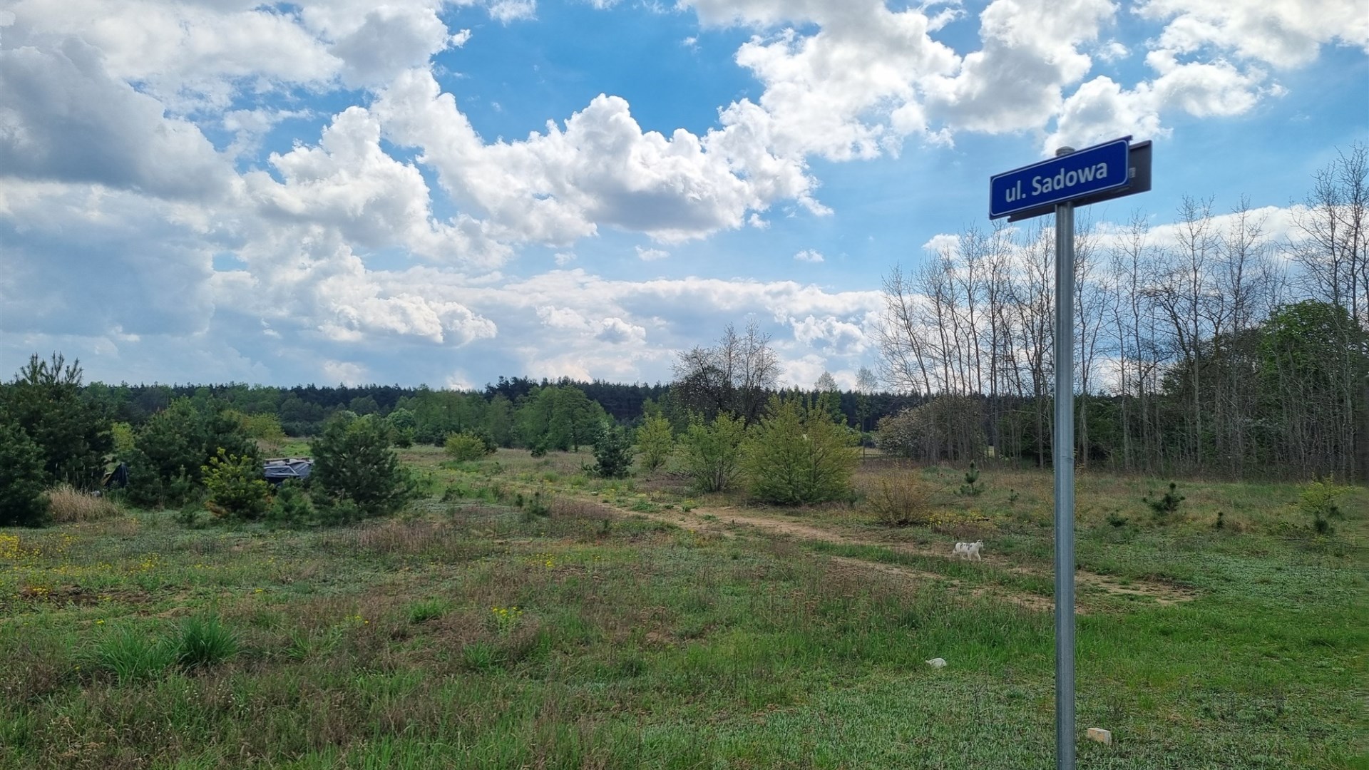 Działka na sprzedaż