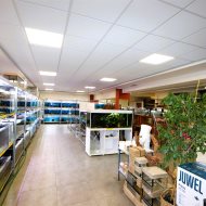 Lokal na wynajem